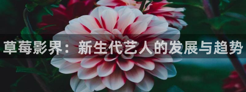 神九影院琪琪电视剧