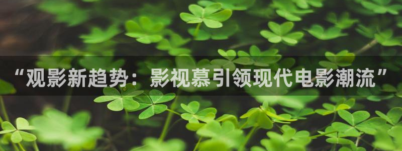 琪琪网电影