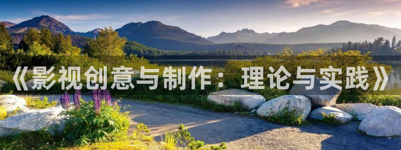 琪琪电影院伦理片：《影视创意与制作：理论与实践》