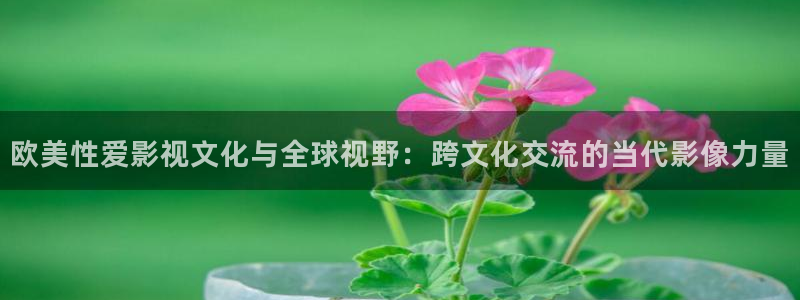 琪琪午夜伦理影院电影在线：欧美性爱影视文化与全球视野：跨文化交流的当代影像力量