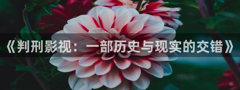 琪琪影院在线观看视频：《判刑影视：一部历史与现实的交错》