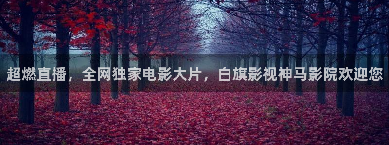 琪琪影院在线看