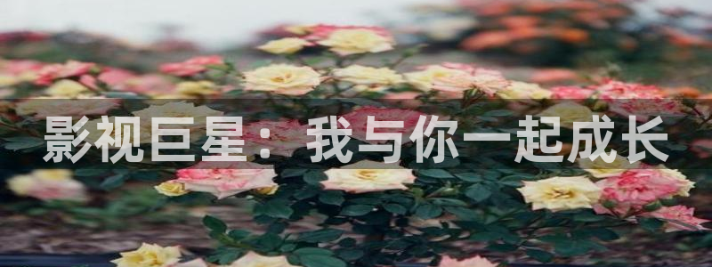 91琪琪在线影院