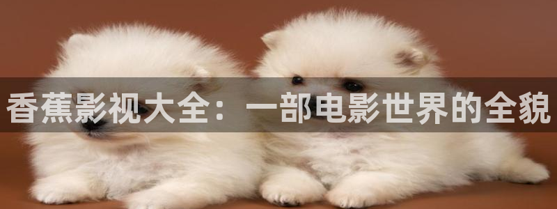 777琪琪电影网午夜理论片