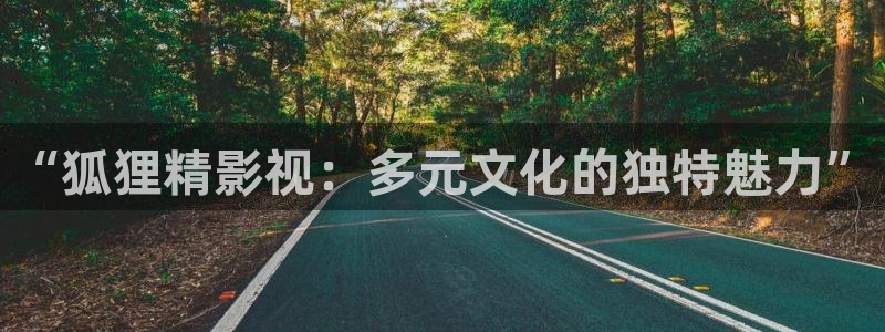 琪琪电影院理论片：“狐狸精影视：多元文化的独特魅力”
