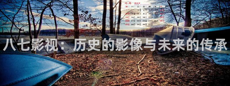 八戒琪琪影院：八七影视：历史的影像与未来的传承