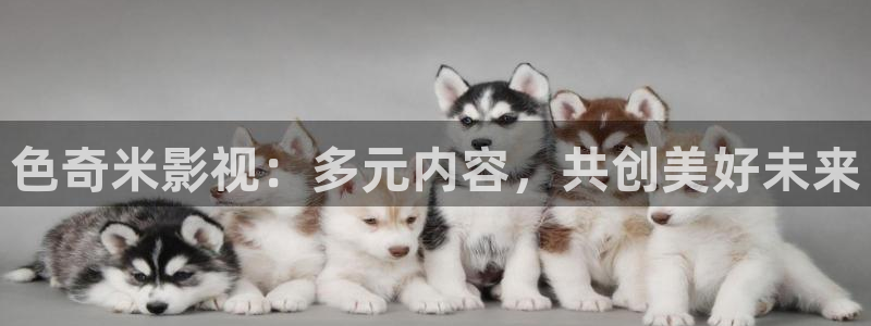 琪琪琪影院：色奇米影视：多元内容，共创美好未来